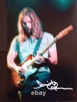 DAVE GILMOUR PINK FLOYD Superb original Signed photo 12X8 Comes With COA