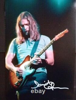 DAVE GILMOUR PINK FLOYD Superb original Signed photo 12X8 Comes With COA