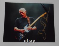 DAVID GILMOUR PINK FLOYD SIGNED 8 x 10 PHOTO WithCOA CLASSIC LIVE GUITAR