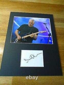 David Gilmour Pink Floyd Genuine signed authentic autograph UACC / AFTAL