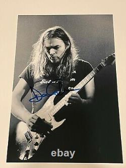 David Gilmour / Pink Floyd Hand-signed 12x8 Photo Autograph