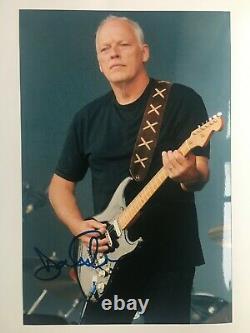 David Gilmour / Pink Floyd Hand-signed 12x8 Photo Autograph