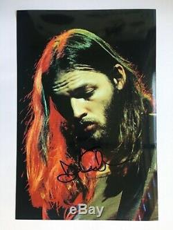 David Gilmour / Pink Floyd Hand-signed 12x8 Photo Autograph