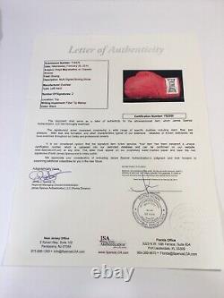 FLOYD MAYWEATHER / CANELO ALVAREZ SIGNED BOXING GLOVE JSA Authenticated