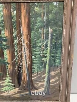 Floyd Copeland Chandler Oil Painting Rickman Grove California Redwoods