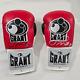 Floyd Mayweather Autographed Red Grant Boxing Gloves Set PSA + Free Signed Photo