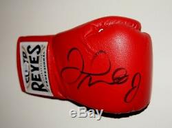 Floyd Mayweather Jr Boxing hand signed Everlast Glove Display Box w COA signiert