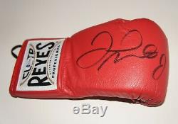 Floyd Mayweather Jr Boxing hand signed Everlast Glove Display Box w COA signiert