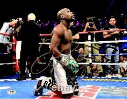Floyd Mayweather Jr. Signed Autographed 11x14 inch Photo on knees + PSA/DNA COA
