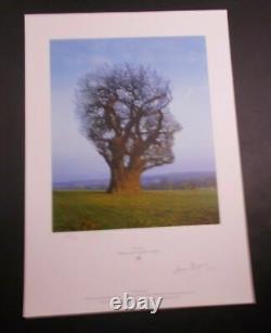 PINK FLOYD'Tree of Half Life' lithograph-Signed Storm Thorgerson-Hipgnosis