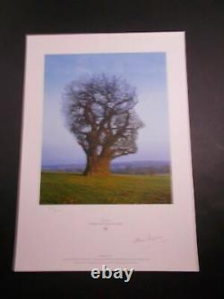 PINK FLOYD'Tree of Half Life' lithograph-Signed Storm Thorgerson-Hipgnosis