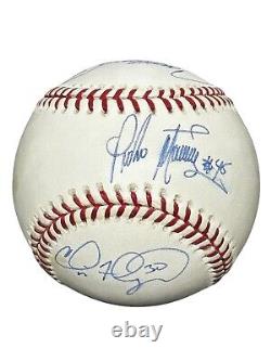 Pedro Martinez Carlos Beltran Cliff Floyd Hand Signed Autographed Baseball Jsa