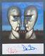 Pink Floyd Division Bell Signed Promotional A4 Card Print Gilmour, Wright, Mason