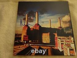 Pink Floyd Nick Mason signed / autographed Animals new LP Album with JSA COA