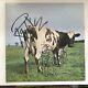 Pink Floyd Roger Waters Nick Mason Signed Atom Heart Mother Lp Epperson COA