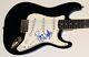 ROGER WATERS Autograph Signed Guitar PINK FLOYD PSA DNA Vintage Signature MINT