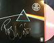 ROGER WATERS Signed PINK FLOYD DARK SIDE OF THE MOON colored LP (PHOTO PROOF)