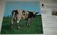 ROGER WATERS Signed Pink Floyd ATOM HEART MOTHER LP ALBUM COVER with Beckett LOA