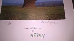 Rare signed Storm Thorgerson Pink Floyd Tree of Half Life art print 482/500