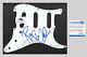 Roger Waters Autograph Signed Pickguard Scratchplate Pink Floyd Acoa