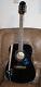 Roger Waters Autographed Guitar Pink Floyd Dark Side of the Moon