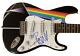 Roger Waters Pink Floyd Signed Full Size Custom Electric Guitar Autograph Bas
