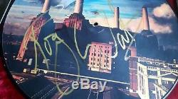Roger Waters Signed ANIMALS 1977 (Photo Proof) PINK FLOYD US AND THEM