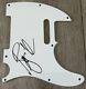 Roger Waters Signed Autograph Pink Floyd Telecaster Guitar Pickguard Exact Proof