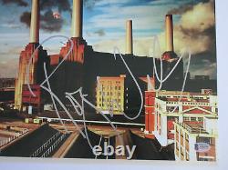 Roger Waters Signed Pink Floyd Animals Vinyl Lp Beckett Bas Coa A06306